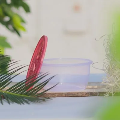 Open clear round tub with its red lid beside it